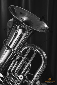 NEW ORLEANS BRASS im Cafe Museum